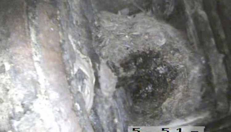 endoscopia video termografica como